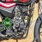 Bajaj worlds first CNG bike: Launch on July 5 - Standard Bike News in Hindi